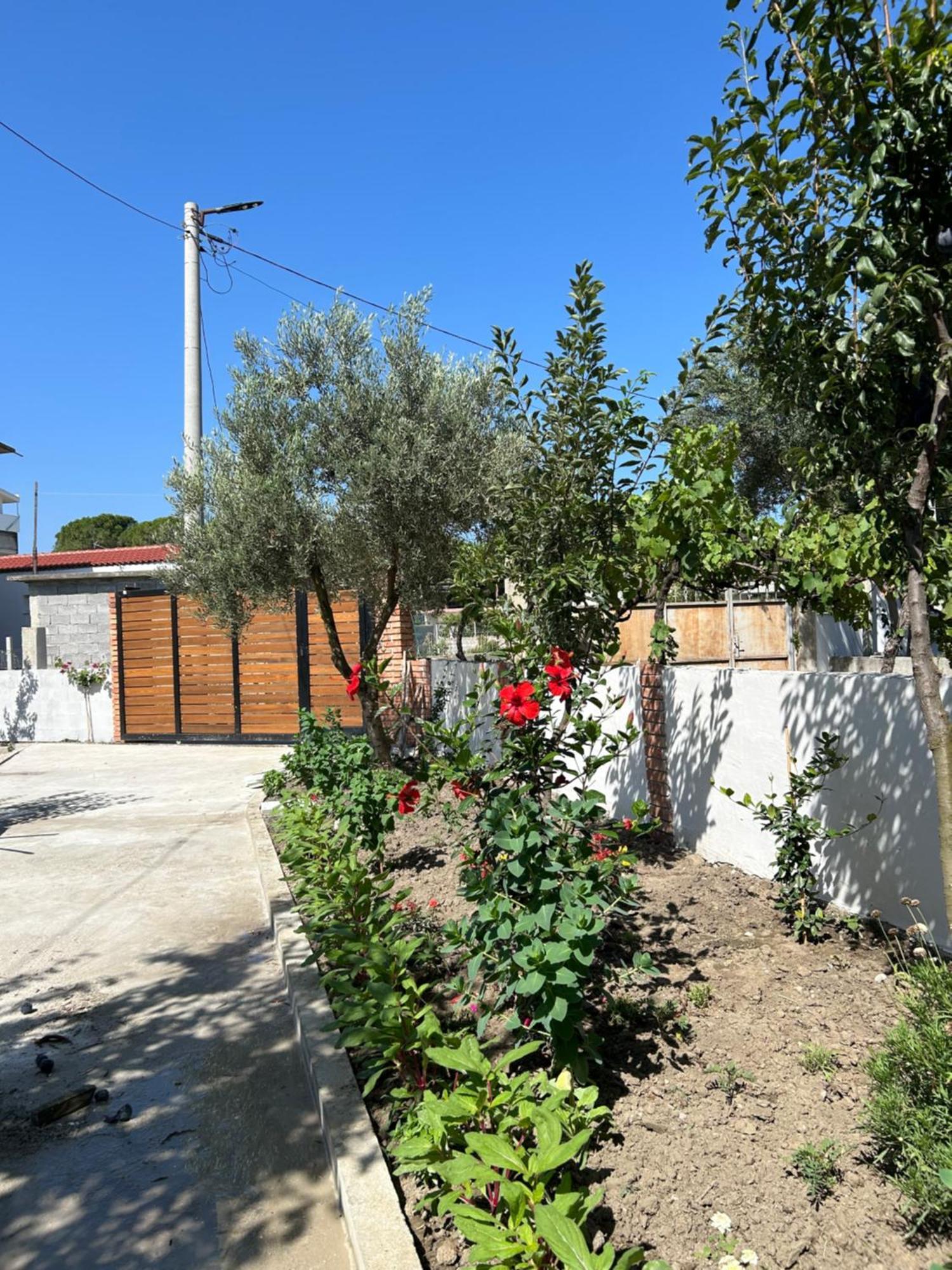 Vila Roan Vlore Exterior photo